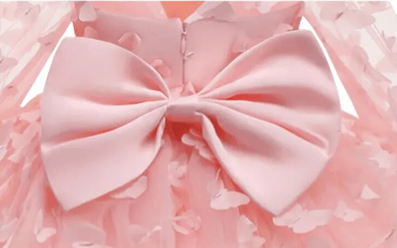 Baby Girl Special Occasion Dress