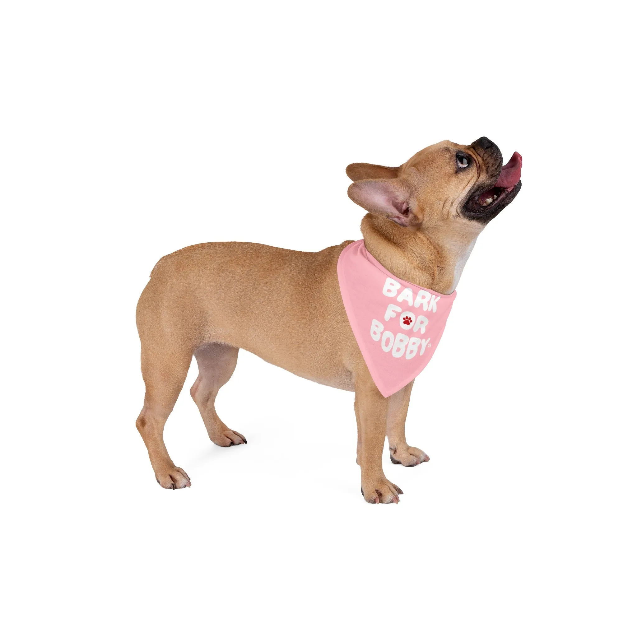 Bark for Bobby '24 Pet Bandana Pink