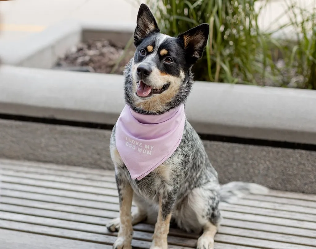 I Love My Dog Mom Light Pink Dog Bandana