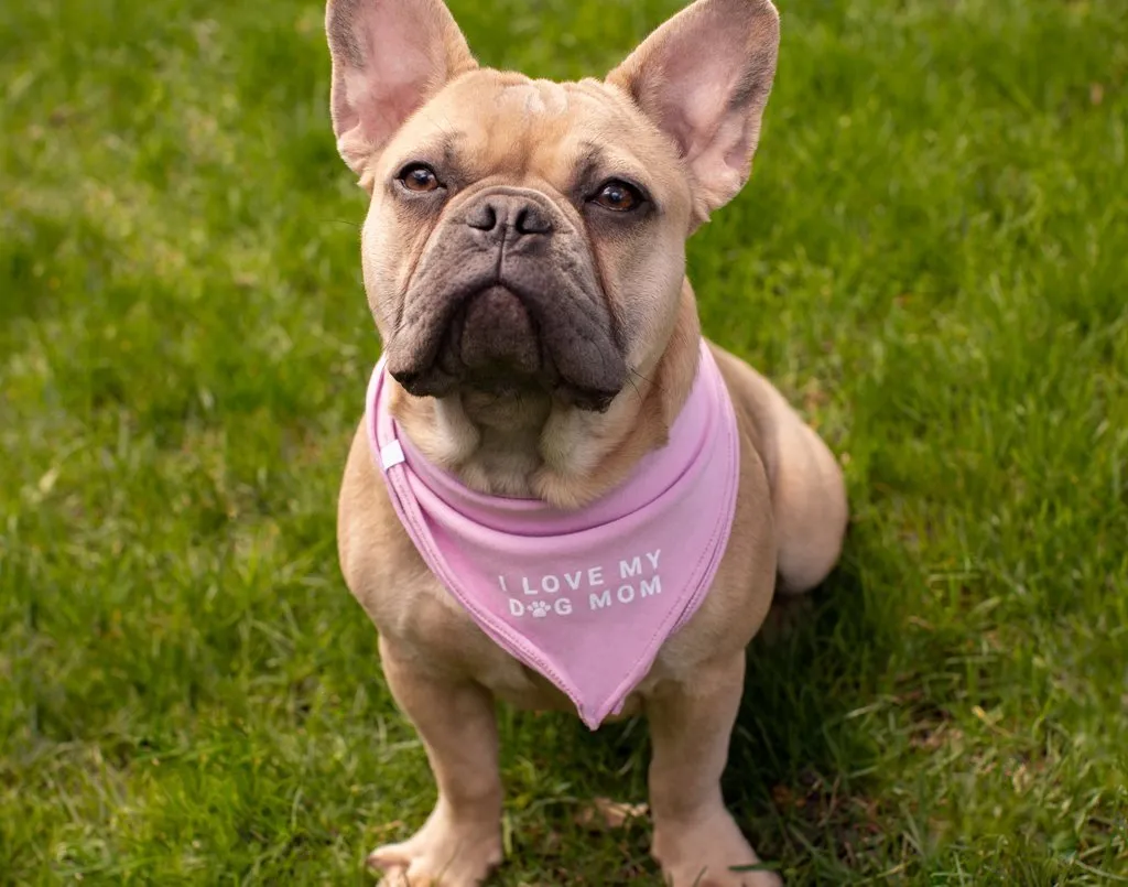 I Love My Dog Mom Light Pink Dog Bandana