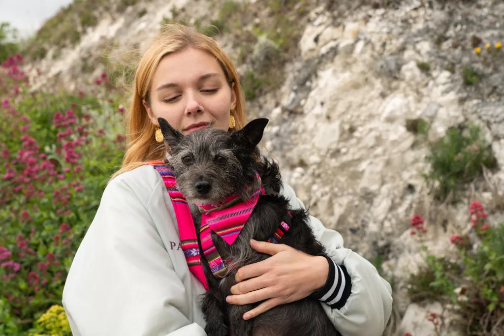 Inca Pink Dog Bandana by Hiro   Wolf