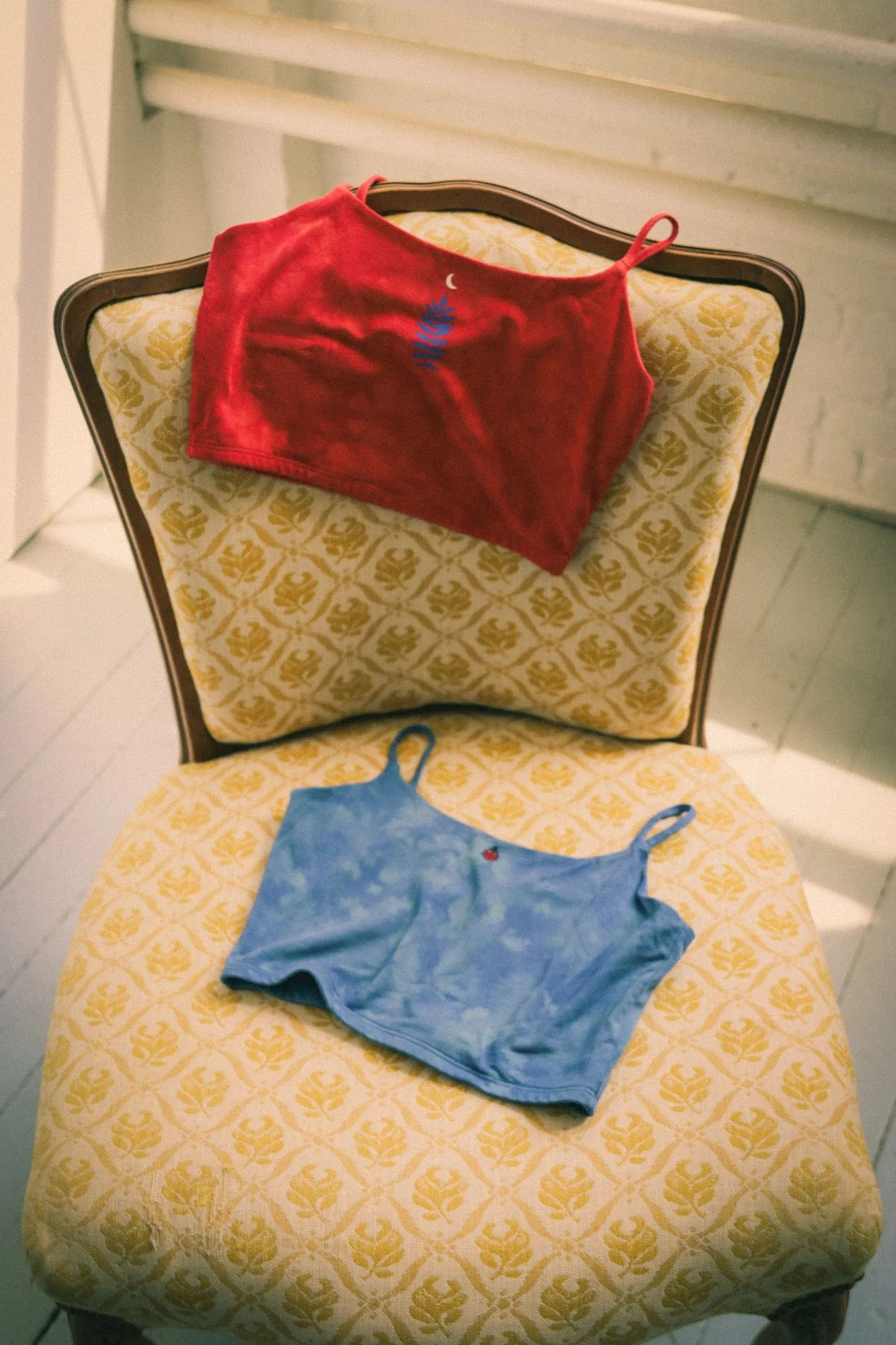 Ladybug Camisole