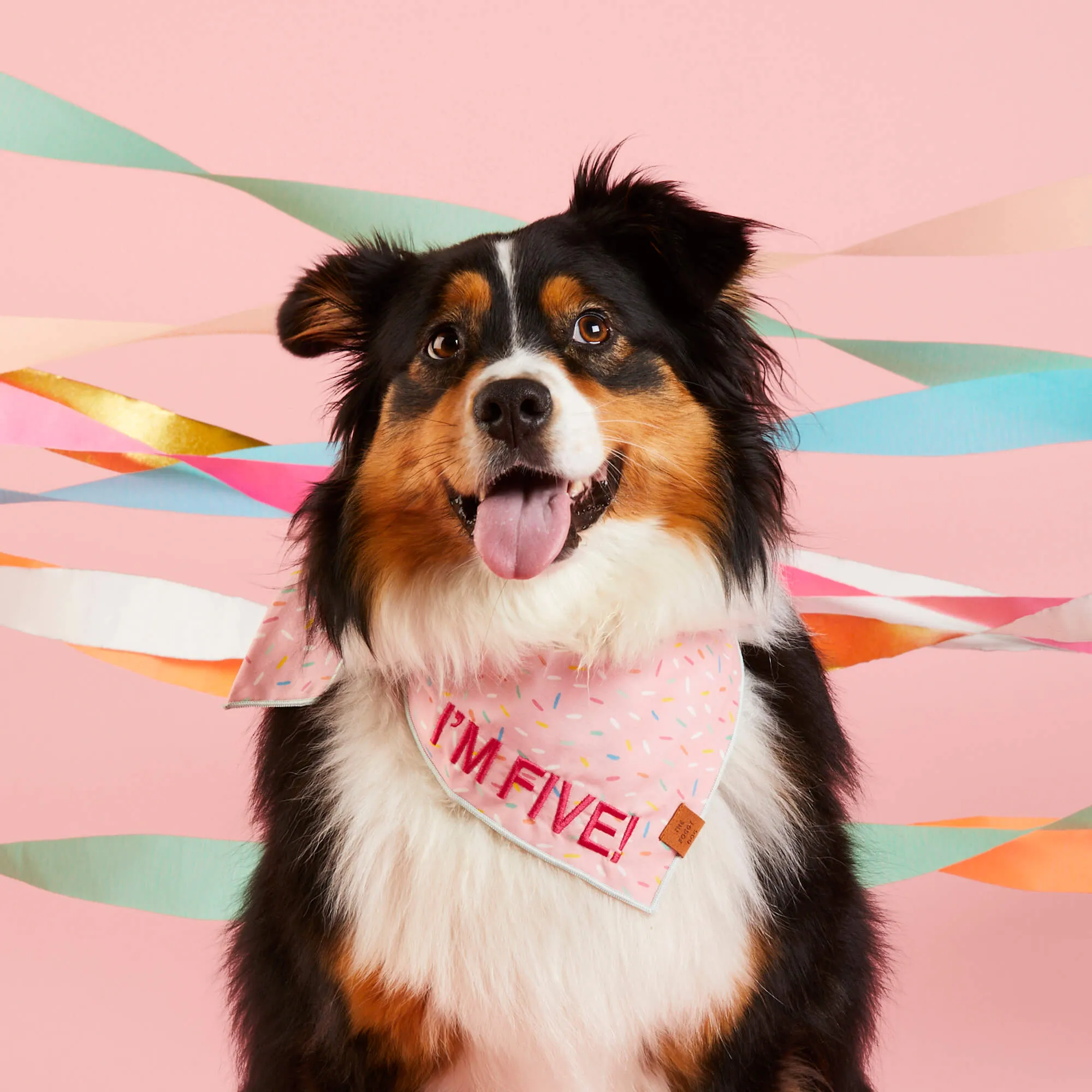 Sprinkles Dog Bandana